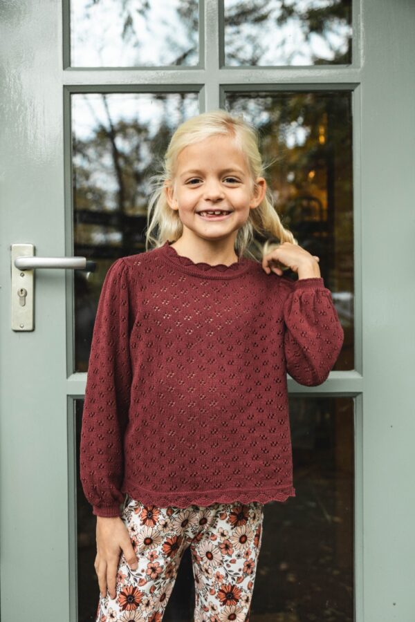 Burgundy Knitt top